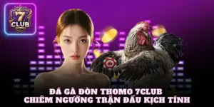 Đá gà đòn Thomo